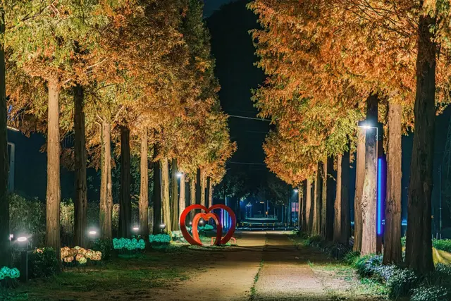 덕산 메타세쿼이아길 사진