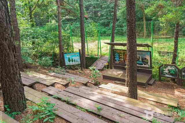 문수산산림욕장 사진