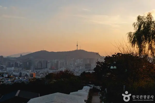 마로니에공원 사진