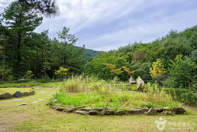 국립 운악산자연휴양림 사진