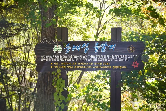 국립 복주산자연휴양림 사진