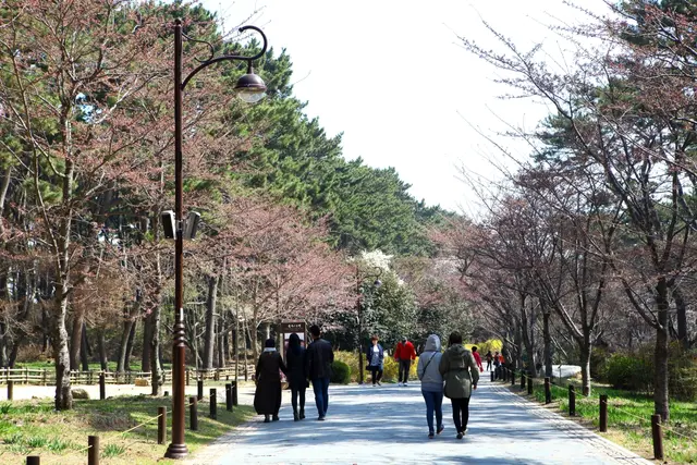 대왕암공원 사진
