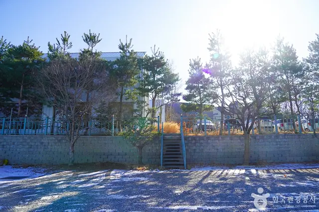 떼레노시떼 사진