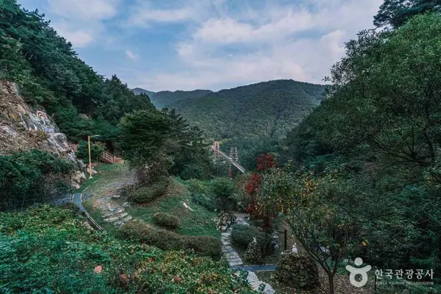 좌구산 자연휴양림 사진