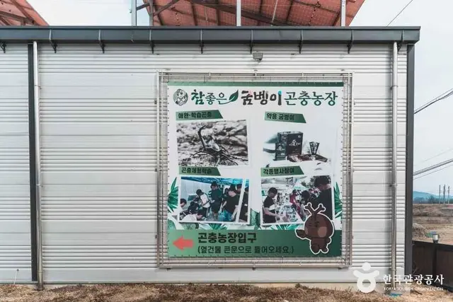 참좋은굼벵이 곤충농장 사진
