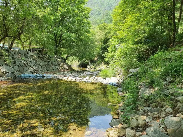 검산별빛캠핑장 사진