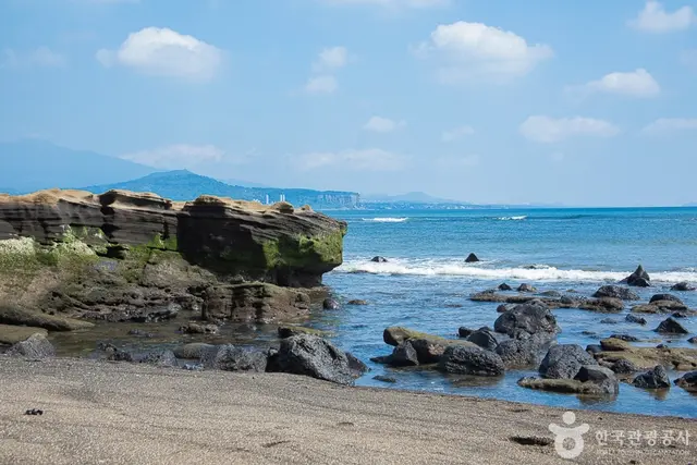 발자국화석공원 사진