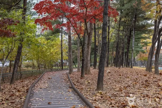 독산 근린공원 사진
