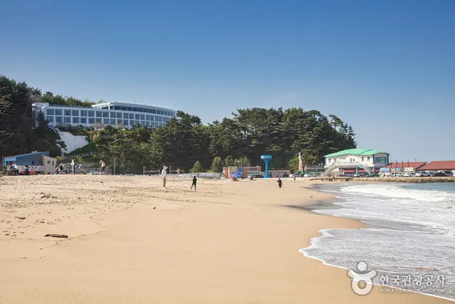 낙산해수욕장 사진