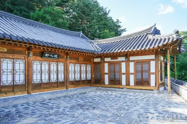 정강원 사진