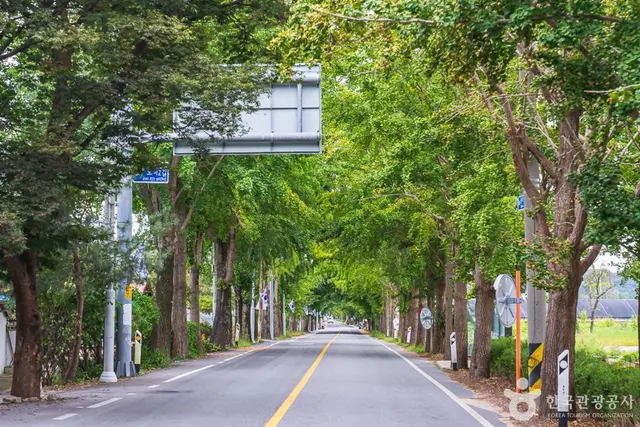 중장리농촌체험휴양마을 사진