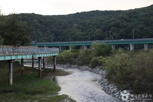 기흥호수공원 사진