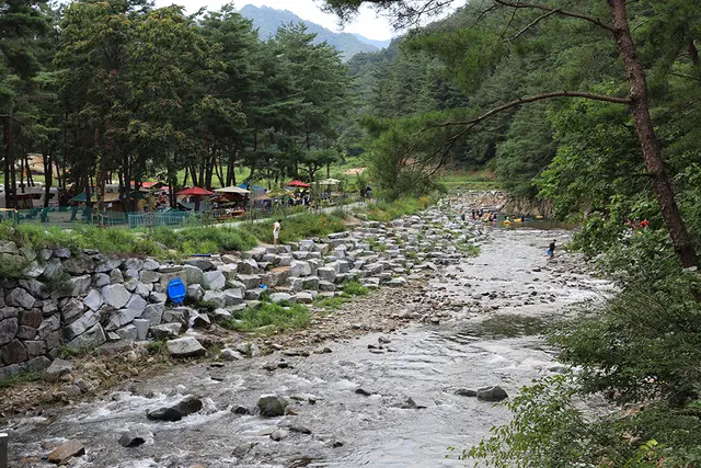 용오름캠핑장 사진