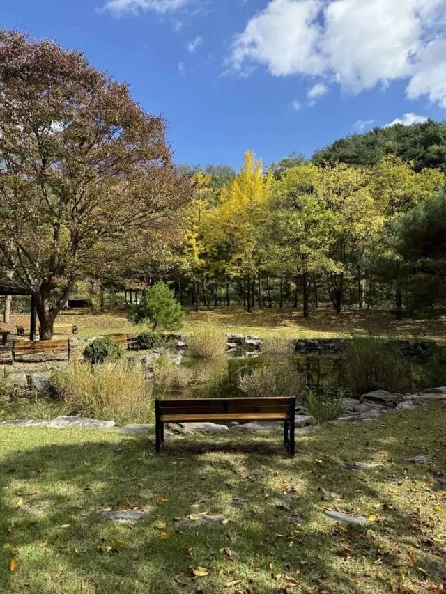 경상북도산림과학박물관 사진
