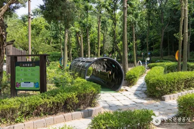 인천나비공원 사진