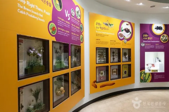대전곤충생태관 사진