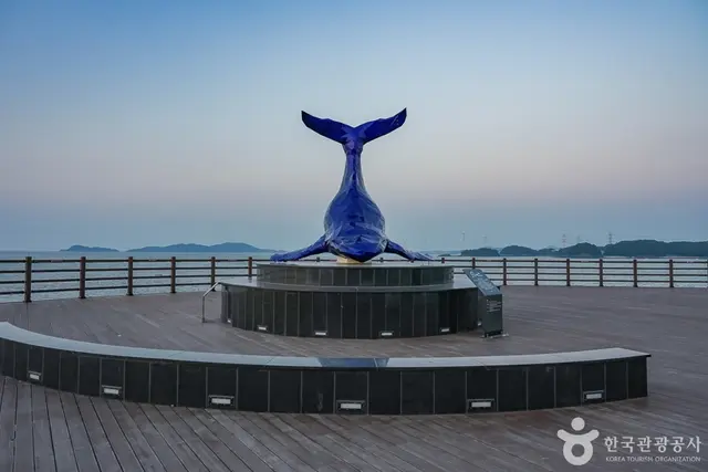 영흥도 하늘고래전망대 사진