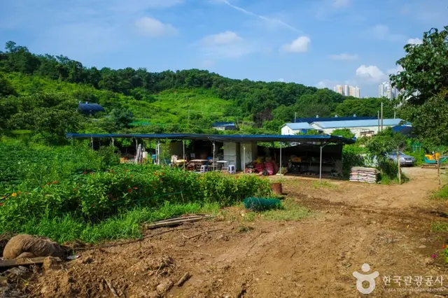 계수밤농장 사진