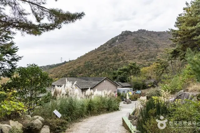 포레스트 수목원 사진