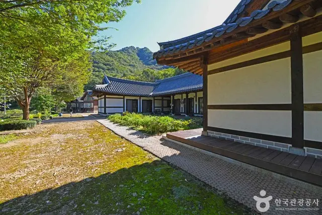 화천 산약초 마을 사진