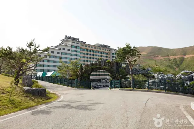 동해약천온천실버타운 사진