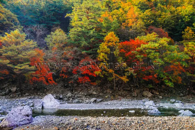 덕풍계곡 사진