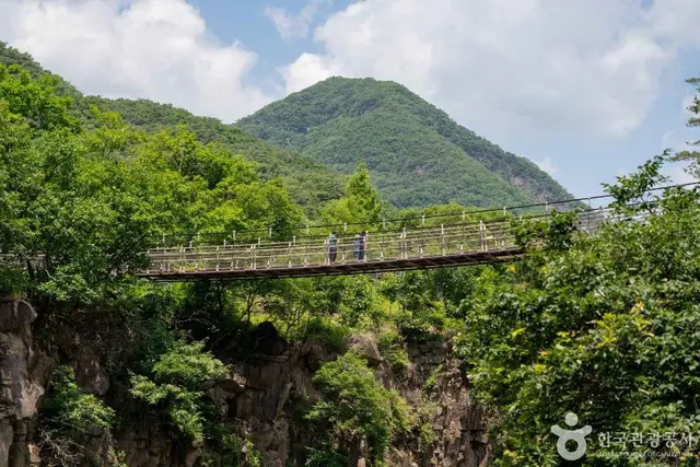 재인폭포 출렁다리 사진