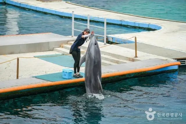 거제씨월드 사진