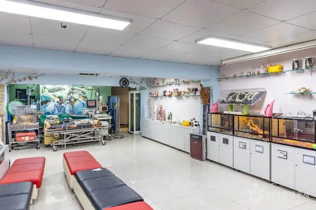 한생연 생명과학박물관 사진