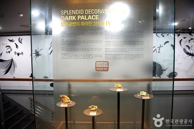 영월동굴생태관 사진