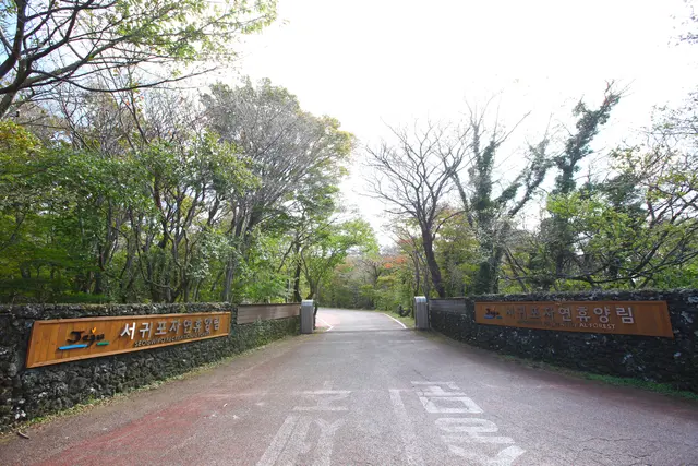 서귀포자연휴양림 사진