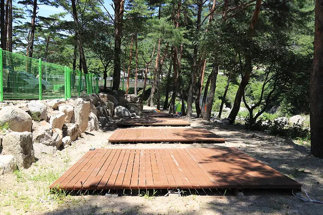 오색솔밭야영장 사진