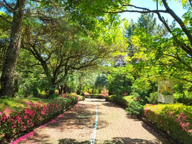 일출랜드 사진