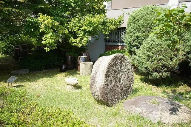 강원대학교 중앙박물관 사진
