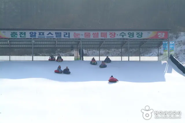 알프스벨리 사계절썰매장 사진