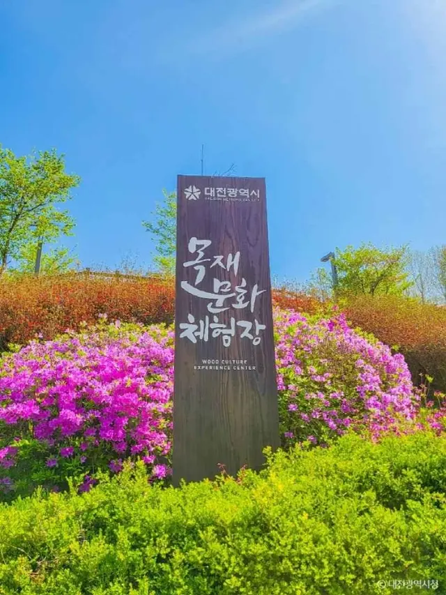 대전목재문화체험장 사진