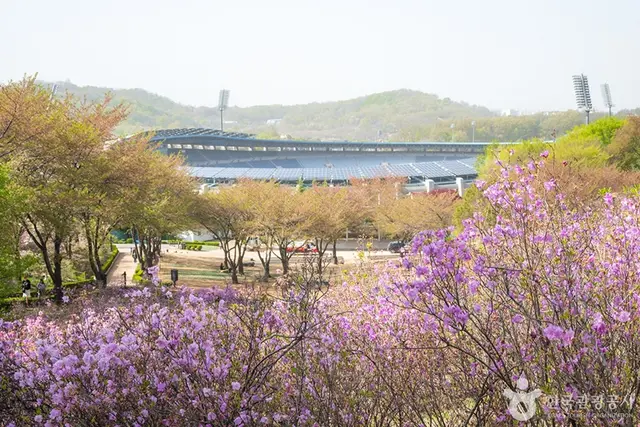 진달래동산 사진
