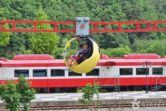 정선벅스랜드 사진