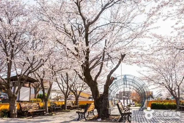 프로방스마을 사진