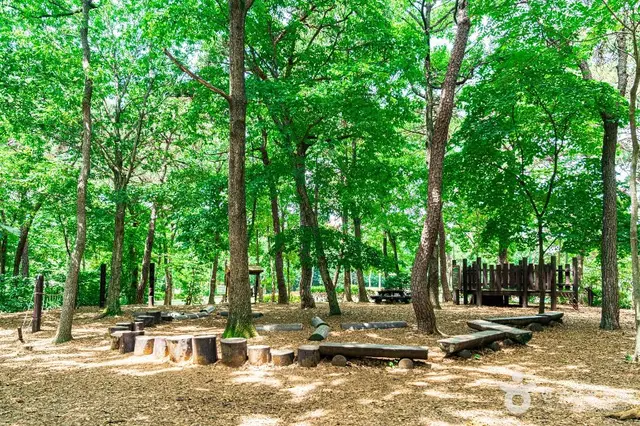 경암근린공원 유아숲체험원 사진