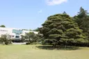 국립산림과학원(홍릉시험림) 사진