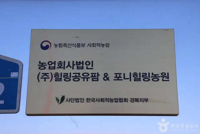 포니힐링관광농원 (힐링공유팜) 사진