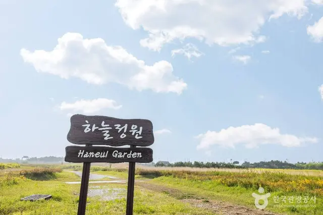 인천공항 하늘정원 사진