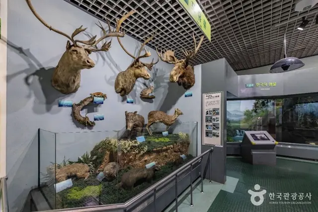 인천학생과학관 사진