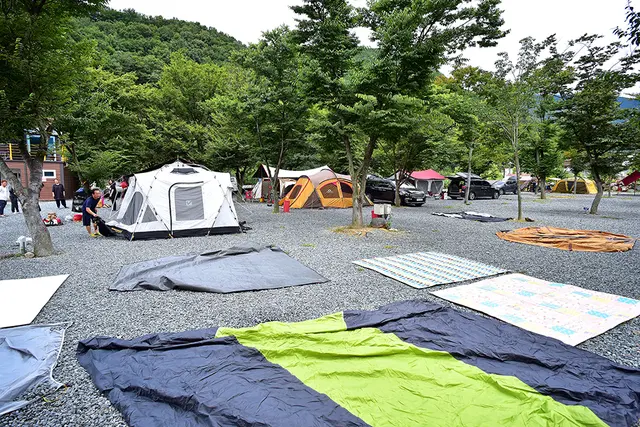 밀양표충오토캠핑장 사진