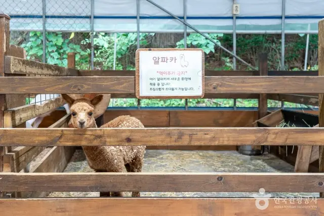 바둑이네동물원 사진