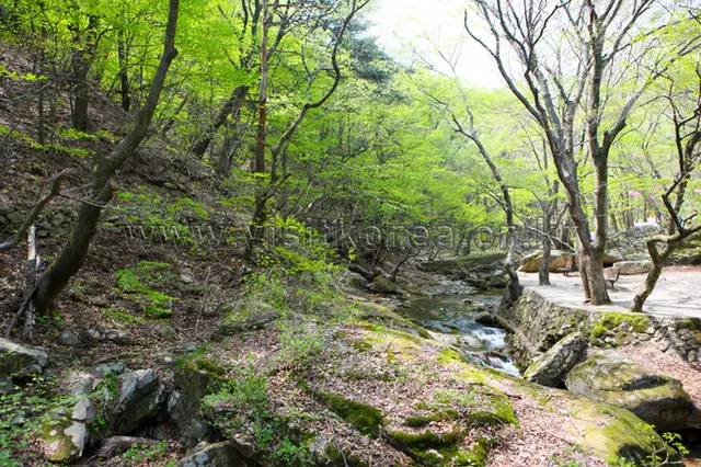 동학사계곡 사진