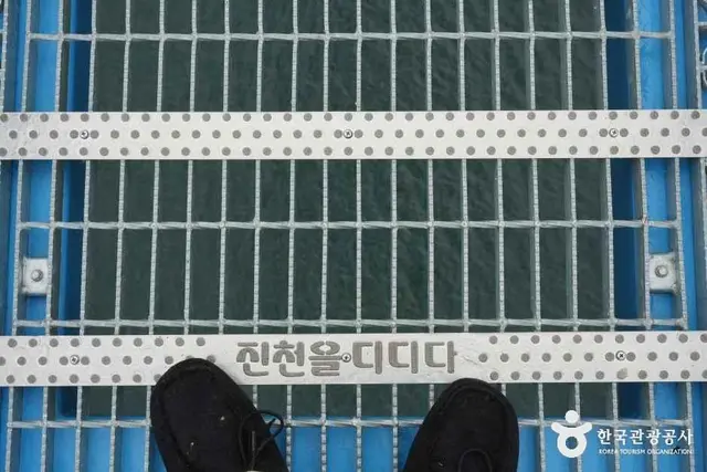 초평호 미르309 출렁다리 사진