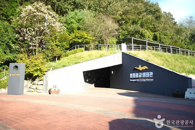 영월동굴생태관 사진