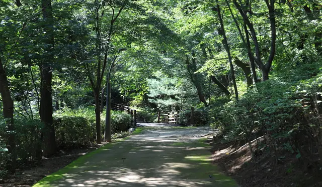 정암 유아숲체험원 사진